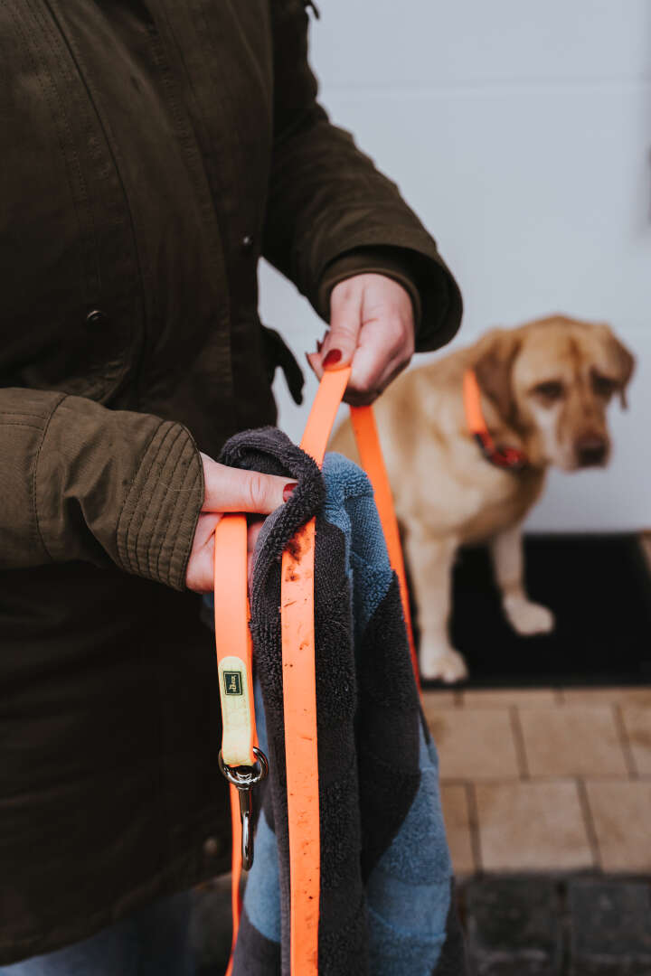 HUNTER Suchleine Convenience